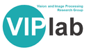 Vision and Image Processing Group